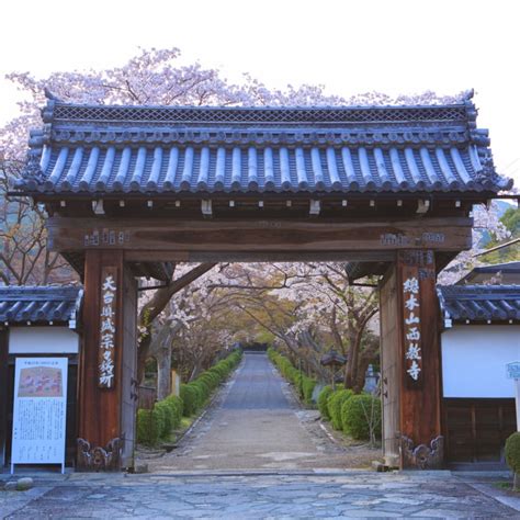 Saikyo Ji Temple Senpai Japan