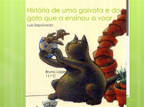 Calam O Hist Ria De Uma Gaivota E Do Gato Que A Ensinou A Voar