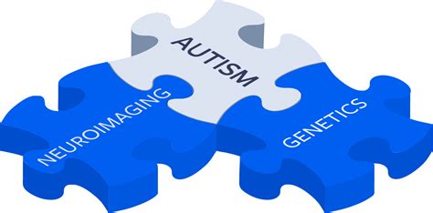 In Order To Better Target The Underlying Mechanisms Of Autism For