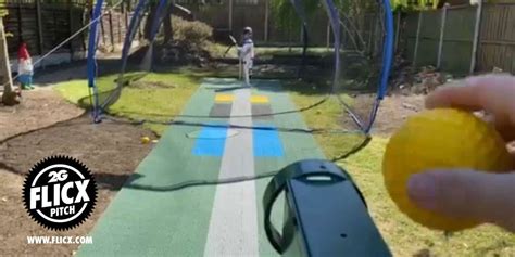 Steps To Making A Great Backyard Cricket Pitch With Flicx G Flicx