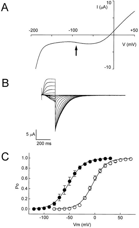 The Mutation A345e In The S3 S4 Loop Of Eag Shifts Activation In The