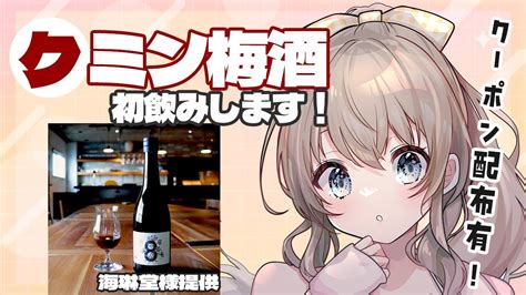 【pr配信飲酒雑談】sake Shop 海琳堂様からいただいたクミン梅酒を飲みながら自家製カレーを食べる🌟【海琳堂 Vtuberちゅり