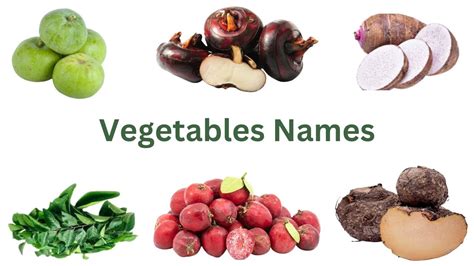 Daily Use Vegetables🍅 Fun With Vegetables🥬 Vegetables Names Name