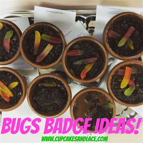 Brownie Girl Scout Bugs Badge Ideas: Kids Cooking & Crafting Bugs Projects - Cupcakes & Lace ...