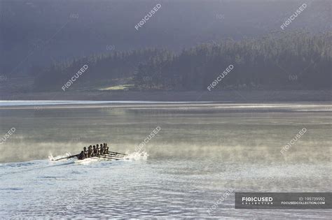 Rowing crew rowing scull on lake — team, Medium Group Of People - Stock ...