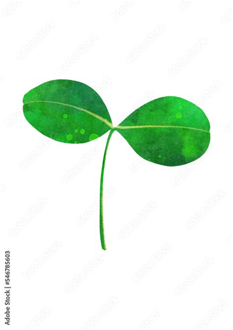 stock adobe stock