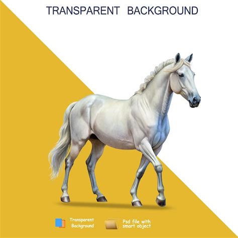 Cavalo Branco Png Fundo Transparente PSD Premium