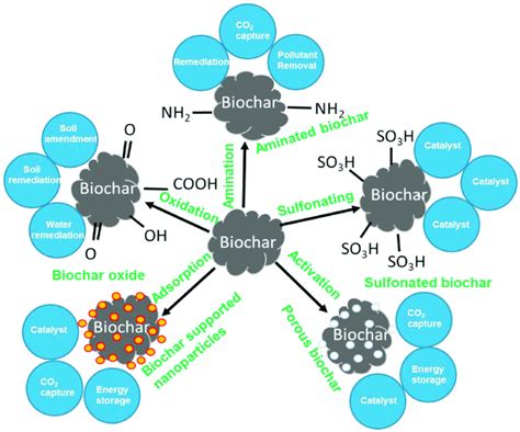 Biochar Potential Applications Of Different Sectors Download Scientific Diagram