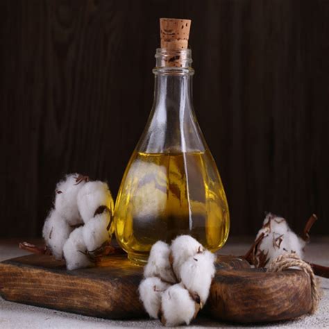 Refined Cottonseed Oil - Oilsgmbh