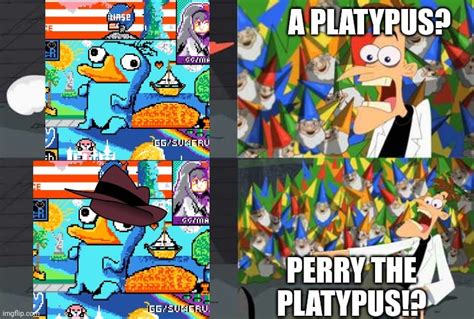 Platypus! : r/phineasandferbmemes