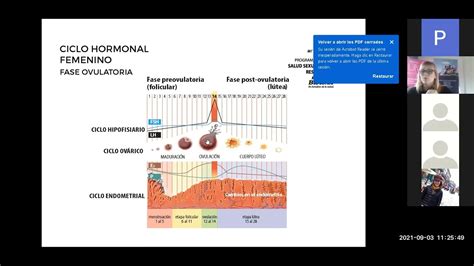 Salus Sexual Biotenk Youtube