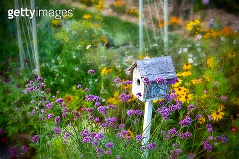 Birdhouse in Flower Garden 이미지 1034630156 게티이미지뱅크