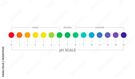 acid and base chart. pH scale. acid and base concept on white ...