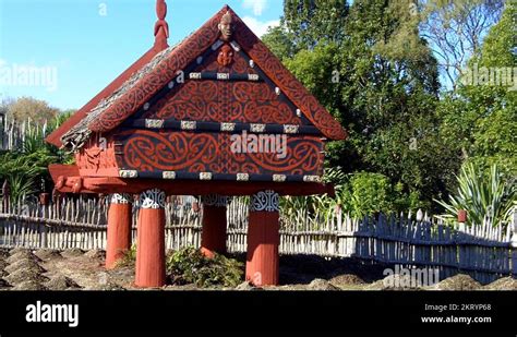 Traditional Maori Garden Stock Videos And Footage Hd And 4k Video Clips