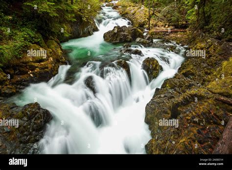 Opal Pool Falls Hi Res Stock Photography And Images Alamy