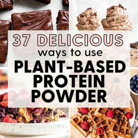 37 Easy Plant-Based Protein Powder Recipes - Home-Cooked Roots