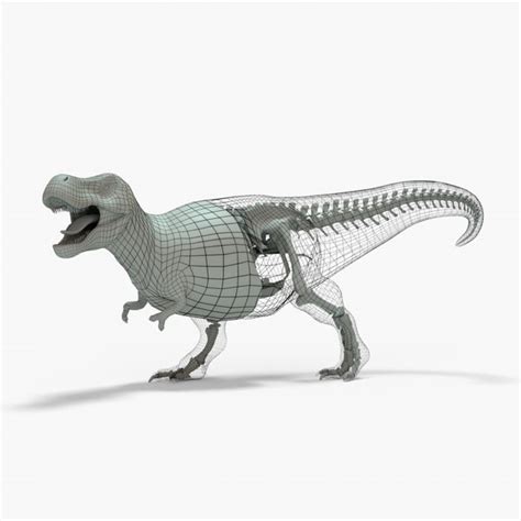 Modelo D Tyrannosaurus Rex Rigged Basemesh Skeleton Turbosquid