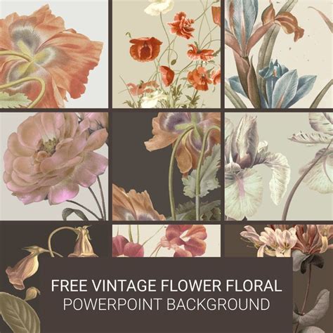 Free Vintage Flower Floral Powerpoint Background in 2022 | Vintage flowers, Floral, Vintage