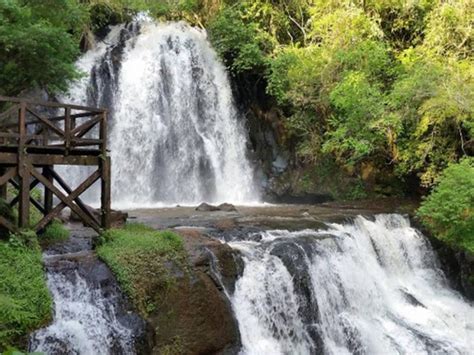 O Que Fazer Em Cascavel Paran Viagens E Caminhos