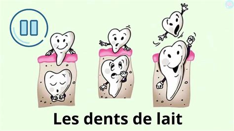 Les dents comment en prendre soin CP CE1 CE2 Maître Lucas