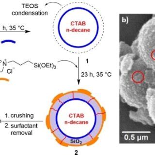 A Tem Images Of The Janus Pmo Sio Au Nanomotor And B Schematic