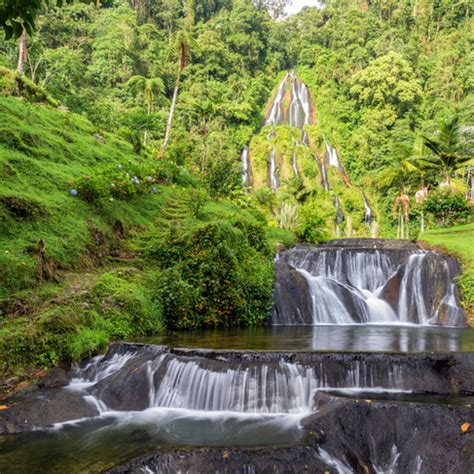 15 Mejores Cosas Que Ver Y Hacer En Salento Colombia