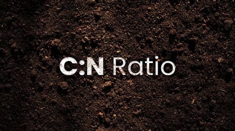 Carbon And Nitrogen Ratio Of The Soil