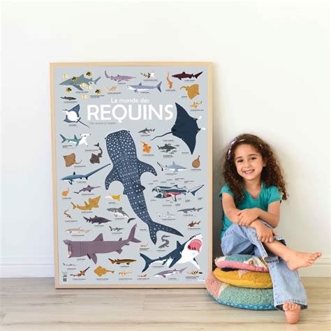 Poster Requins Stickers Animaux Marins Poppik Stickers