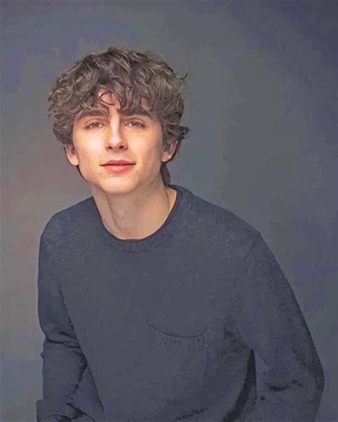 Timothee Chalamet Actor Paint By Numbers Num Paint Kit