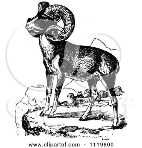 Clipart Of Retro Vintage Black And White Wild Goats Royalty Free