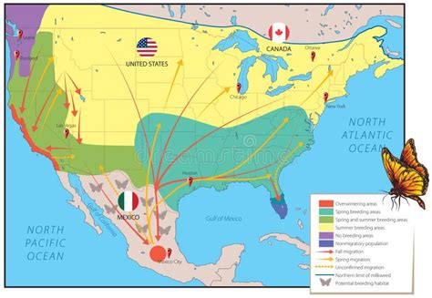 Monarch Butterfly Migration Map For Kids