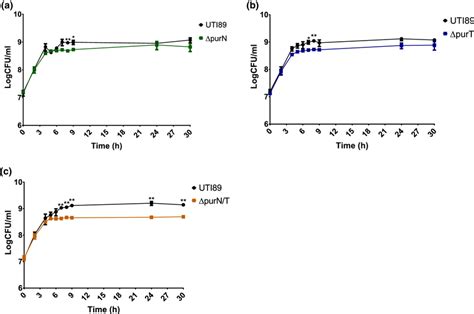 Growth Curves Of The Wt E Coli Uti89 And The Isogenic Strains A