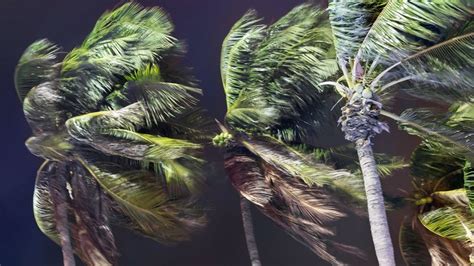 Squall | Winds, Storms, Gusts | Britannica