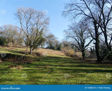 Early Spring Scene on Chorleywood Common, Hertfordshire, UK Stock Image ...