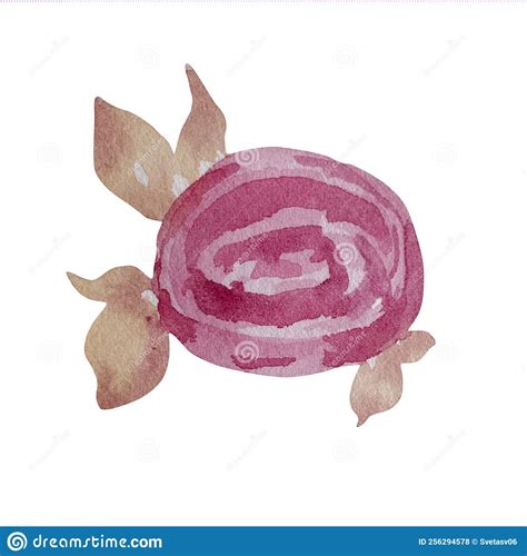 Rosa De Flor Rosa Dibujado a Mano Ilustración del Vector Ilustración