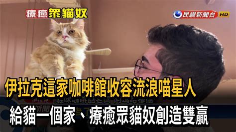 貓咪咖啡館收容流浪喵星人 吸引貓奴上門光顧－民視新聞 Youtube