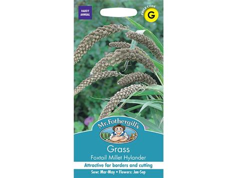 Grass Foxtail Millet Hylander Seeds Tates