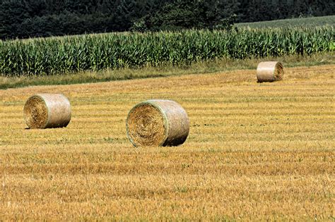 Ropepca Proiectul De Lege Cu Privire La V Nzarea Terenurilor Agricole