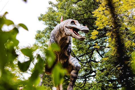 Regi O Maior Parque De Dinossauros Do Mundo A Terra Dos Dinos Abre