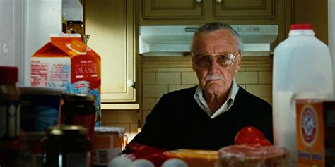 The 15 Best Cameos In The Marvel Cinematic Universe