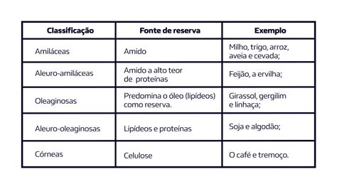 Semente conheça os tipos e sua germinação Syngenta Digital