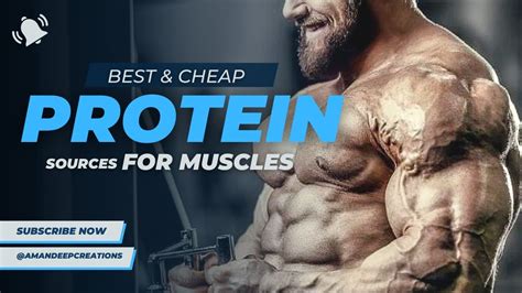 सबसे सस्ता अच्छा शाकाहारी प्रोटीन फ़ूड Best And Cheap Vegetarian Protein Source For Muscle