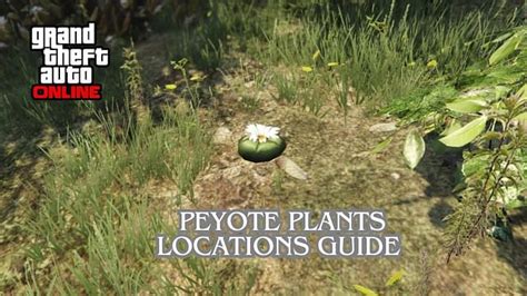 How To Find All Peyote Plants In Gta Online Location Guide