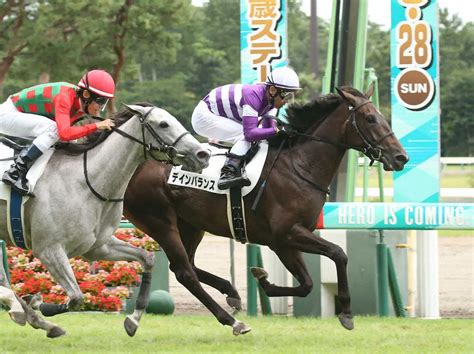 【新潟6r新馬】アパパネ娘のアスパルディーコは6着 デインバランスが勝利 スポニチ競馬web