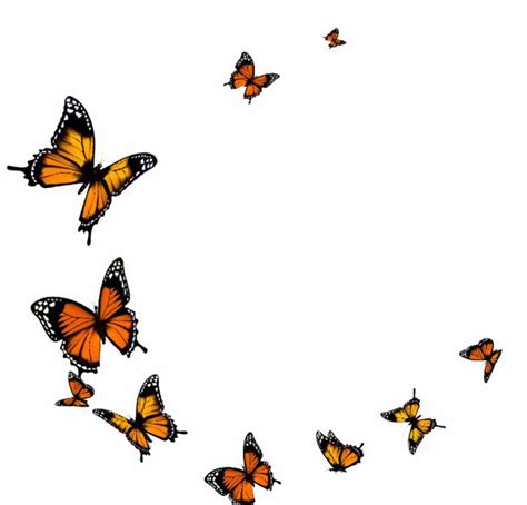 Butterfly Clip Art Flying Butterflies Transparent Background Png Images