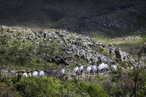 Top 10 des meilleures activités à Ceres Mountain Fynbos Nature Reserve