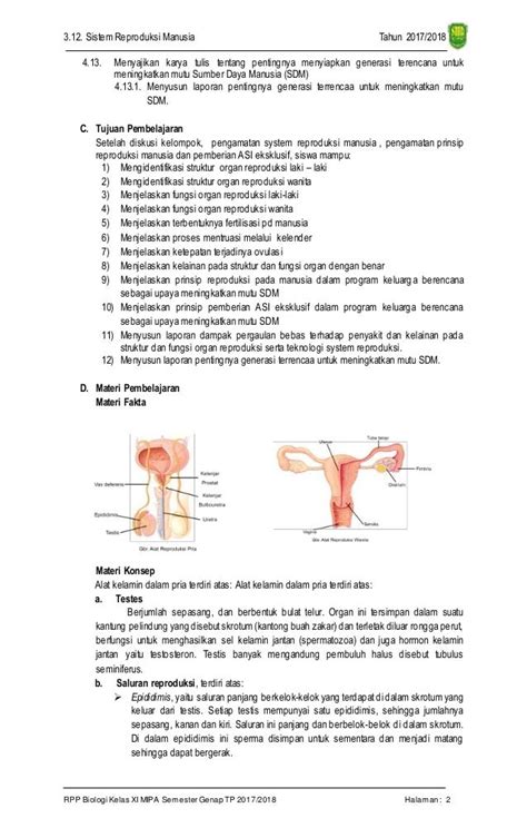 Soal Dan Pembahasan Biologi Sistem Reproduksi Kelas Ix 2021