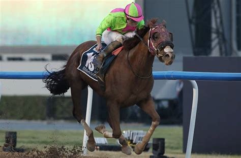 シベリウスが故障で引退、2023年にドバイゴールデンシャヒーン制覇 Jra Van World 海外競馬情報サイト