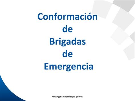 Conformacion De Brigadas Emergencia Ppt