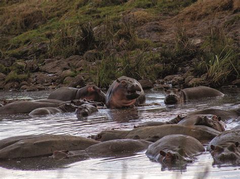 Serengeti National Park – Lune Adventure